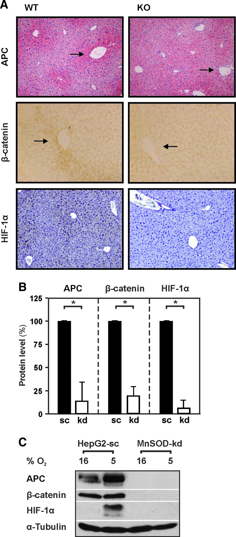 FIG. 9.