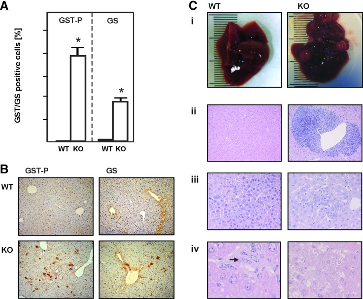 FIG. 8.