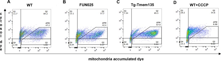 Figure 6—figure supplement 1.