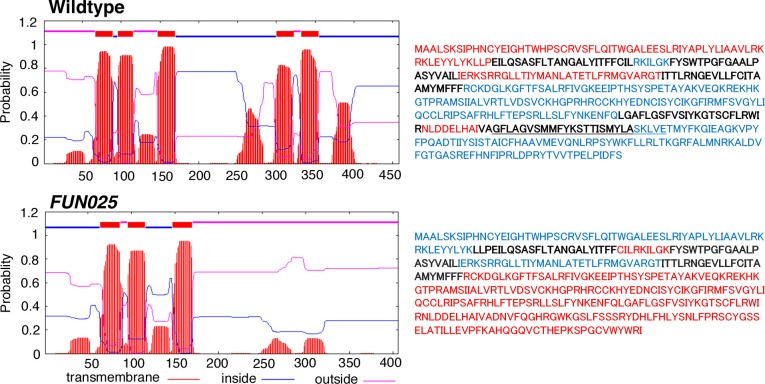 Figure 3—figure supplement 1.