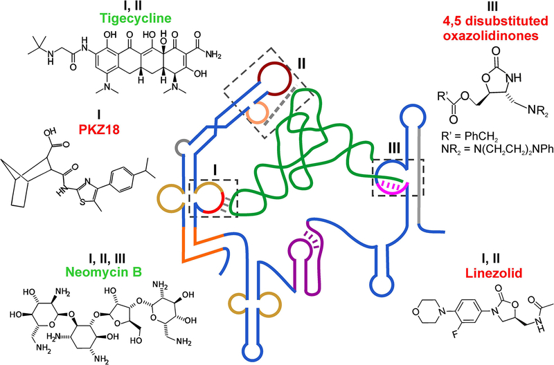 Figure 5.