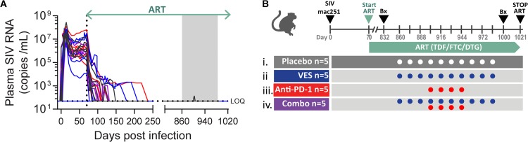 FIG 2