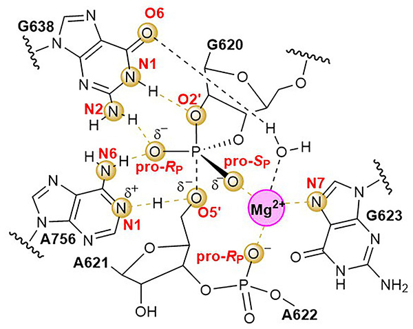 Figure 4.