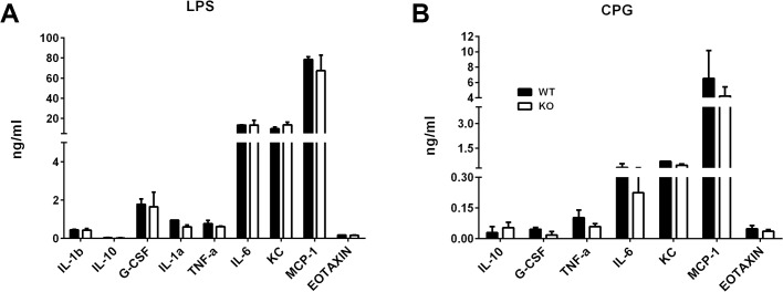 Fig 5