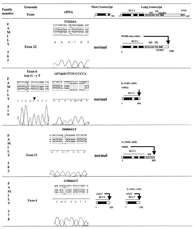 Figure  3