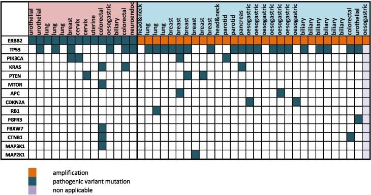 Figure 2B