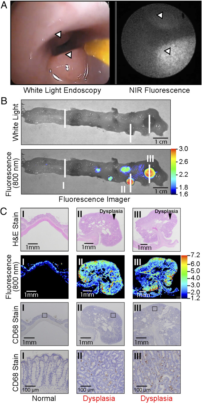 Fig. 3.