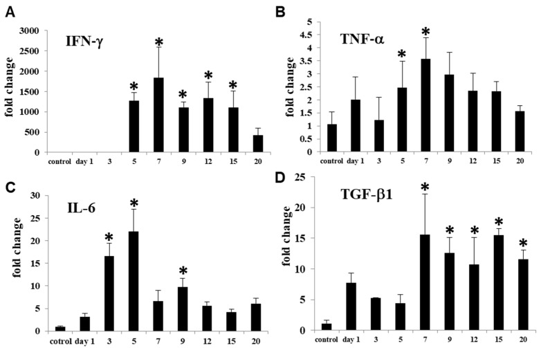 Figure 7