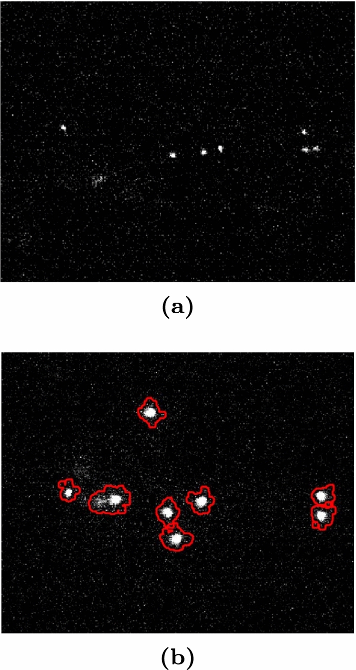 Fig. 22