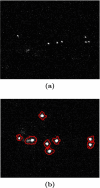 Fig. 22