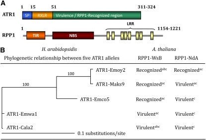 Figure 1.