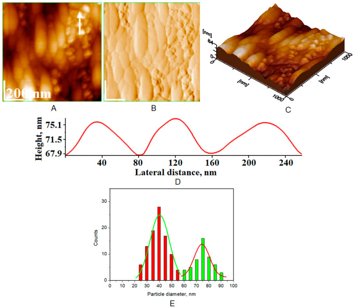 Figure 10