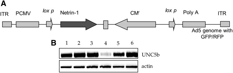 FIG. 1.