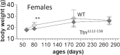 Figure 1—figure supplement 1.