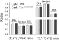 Figure 1—figure supplement 3.