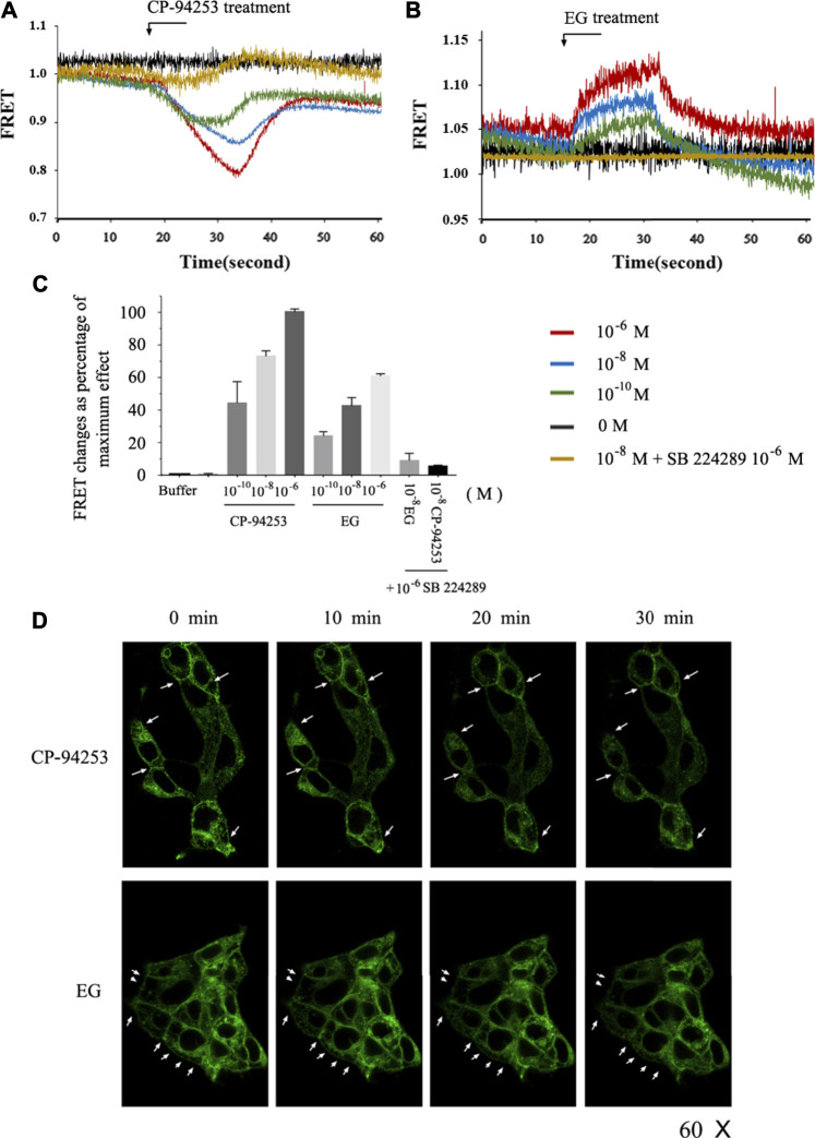 FIGURE 4