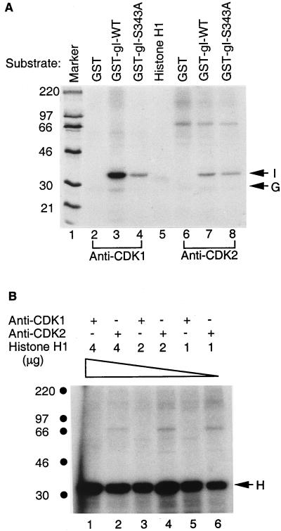 FIG. 10