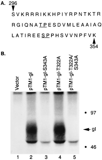 FIG. 12