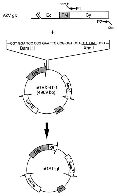 FIG. 6