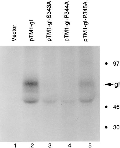 FIG. 5