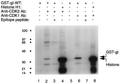 FIG. 9