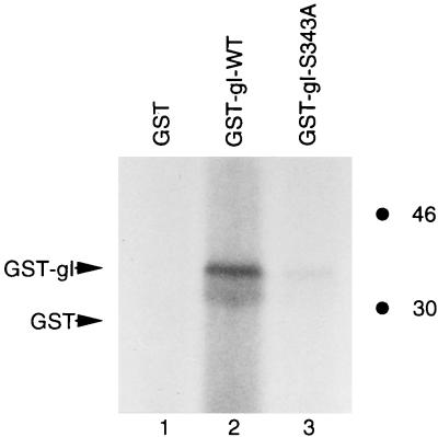 FIG. 8