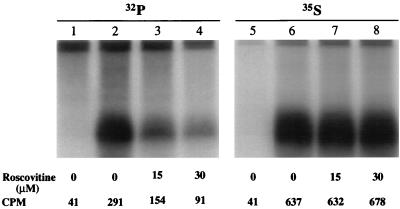 FIG. 13