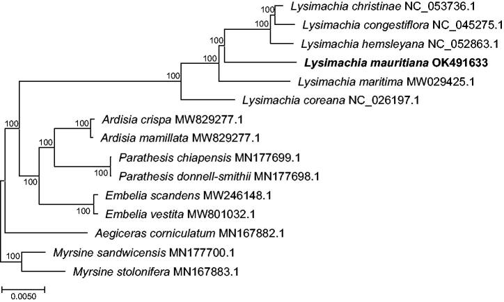 Figure 1.