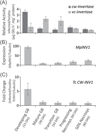 Fig. 2.