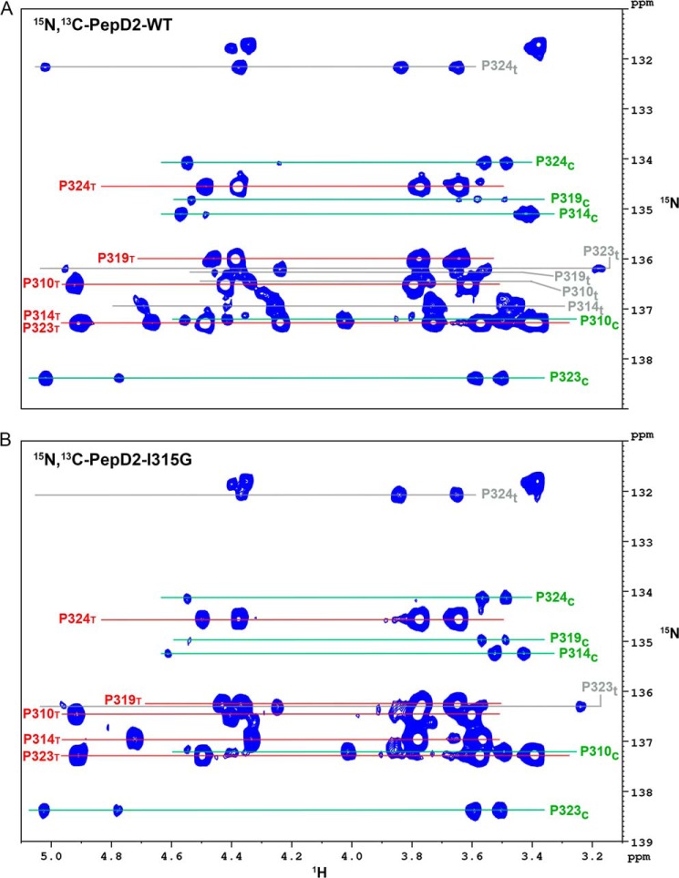 FIGURE 11.