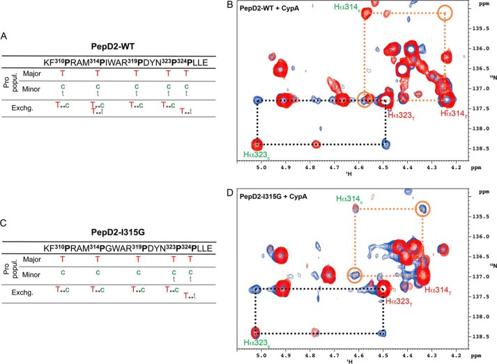 FIGURE 12.