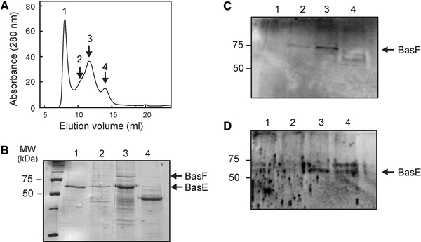 Fig. 3