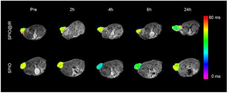 Fig.6