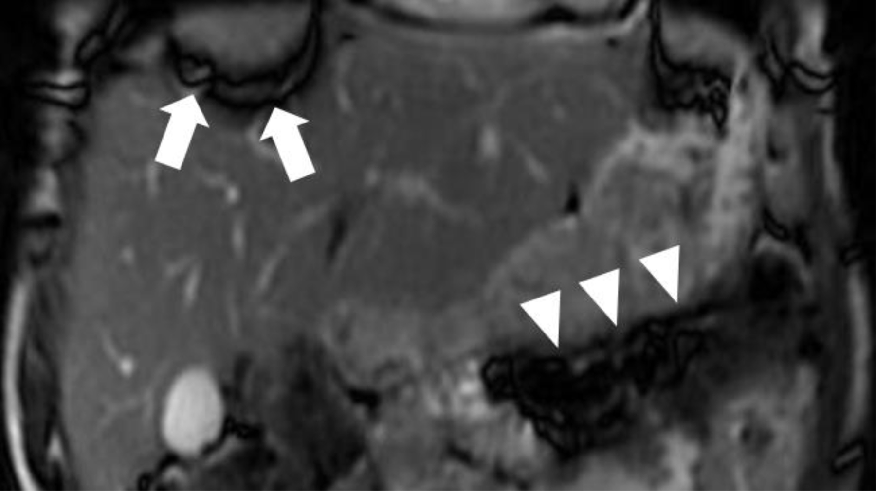 FIGURE 4: