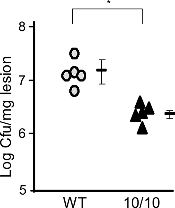 FIGURE 7.