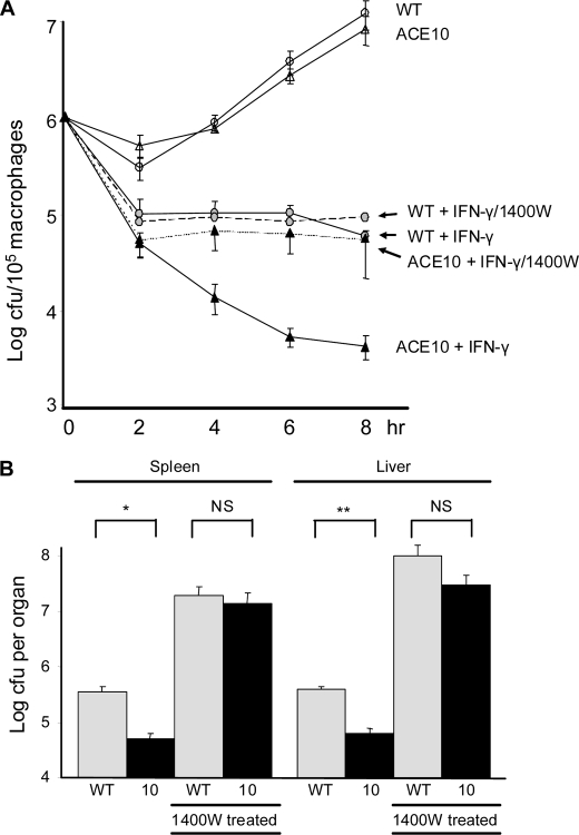 FIGURE 4.