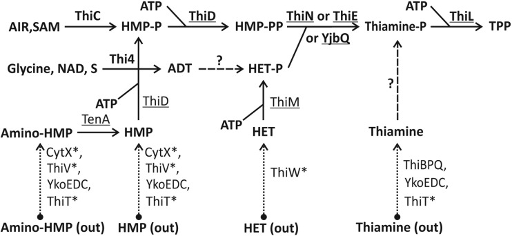 FIG 1