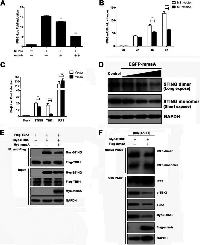 FIG 4