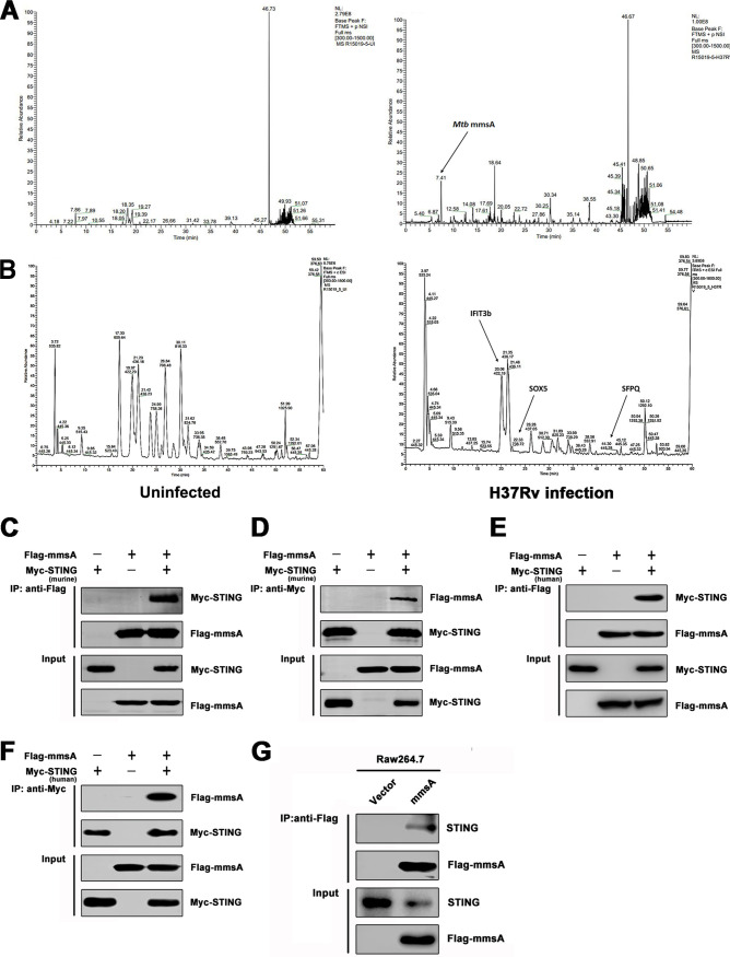 FIG 1