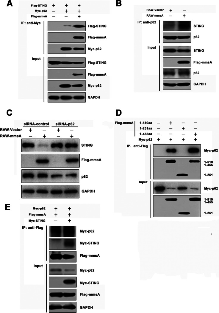 FIG 6