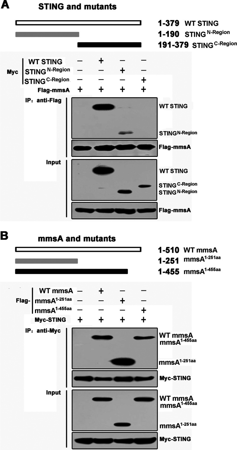 FIG 3