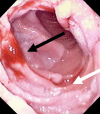 Fig. 4