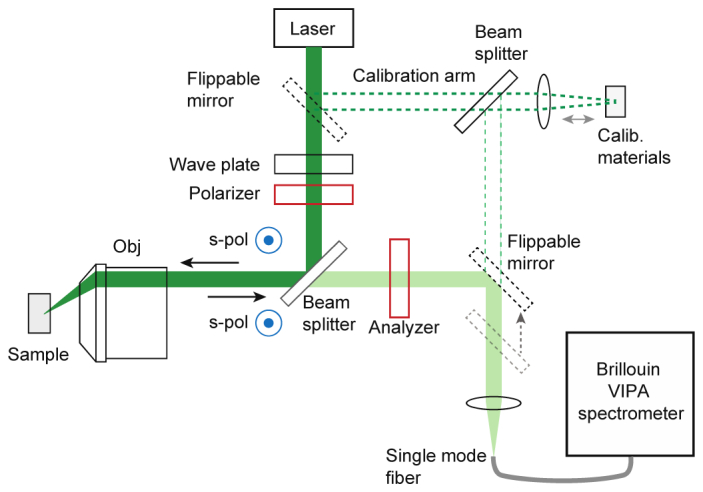 Fig. 6