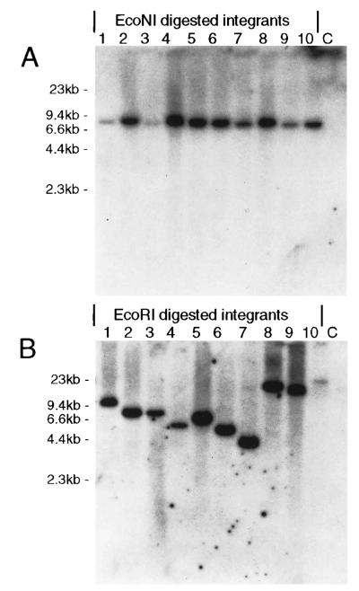 FIG. 6