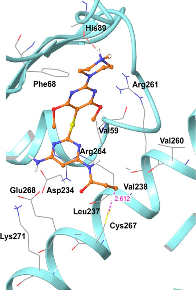 Figure 5