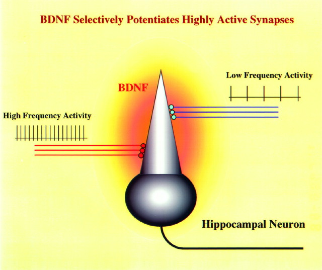 Fig. 10.