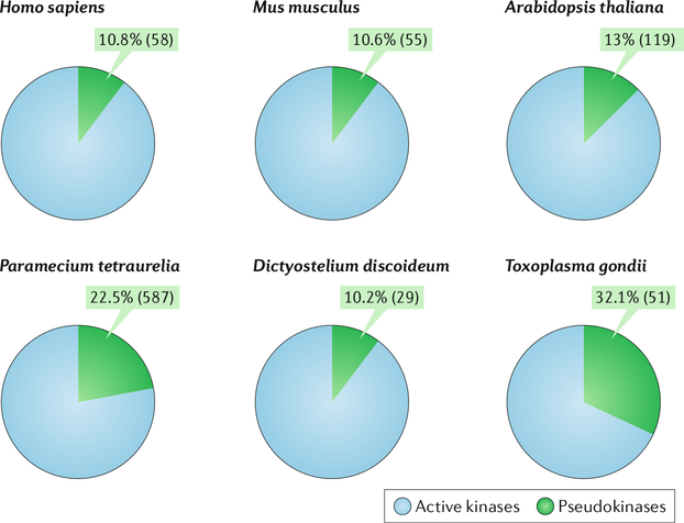 Fig. 1: