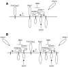 FIG. 6.