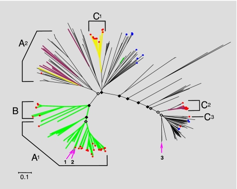 Fig. 2.