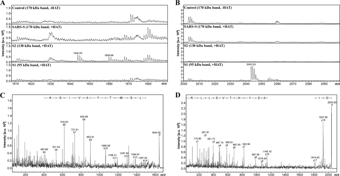 Fig. 2.